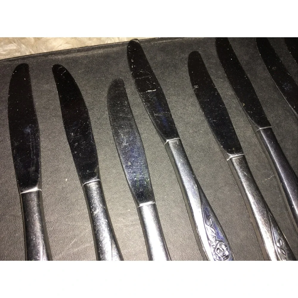 Oneida craft 12 Deluxe Stainless Lasting Rose Dinner Butter lot Knives